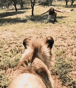 Do it for the smiles! better smile gif | WiffleGif
