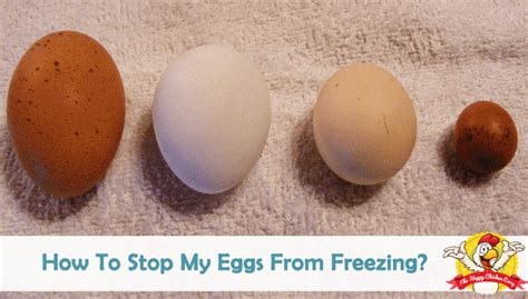 That said, there are insurance policies that indeed cover parts of the egg freezing process or the treatment in it's entirety. How To Stop My Eggs From Freezing?