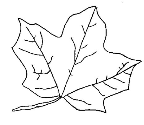 Holly leaves coloring pages are a fun way for kids of all ages to develop creativity, focus, motor skills and color recognition. Coloring Now » Blog Archive » Leaf Coloring Pages