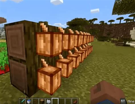 Yes, minecraft does have cookies. How To Grow Cocoa Beans In Minecraft (Minecraft Cocoa ...