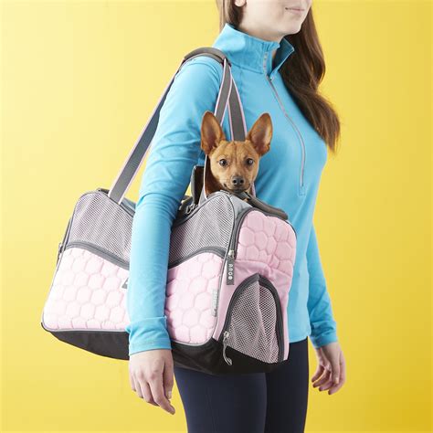 Buy the cat carrier here 🙂. Argo Petagon Medium Pet Carrier, Tokyo Pink - Chewy.com