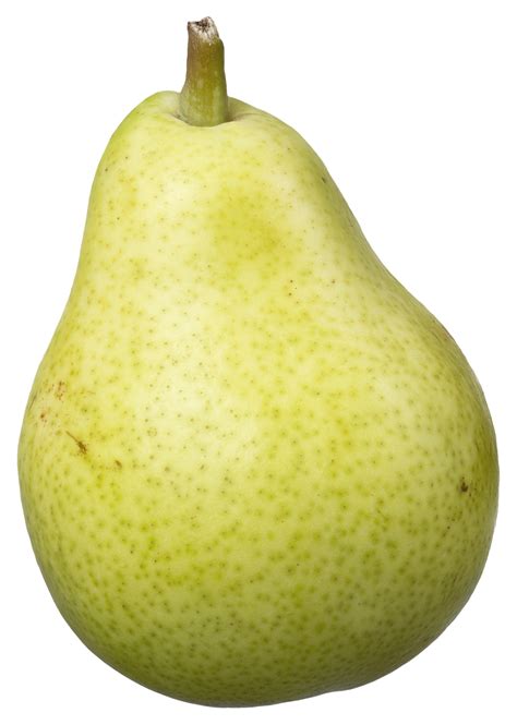 Collection of Pear PNG. | PlusPNG