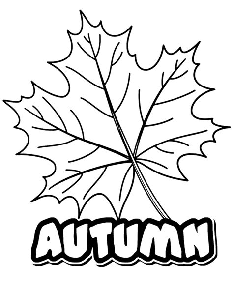 Fall is earthy, with beautiful burnt oranges, golden yellows, brilliant reds and rich tans and browns. Coloring sheet with autumn sign and leaf