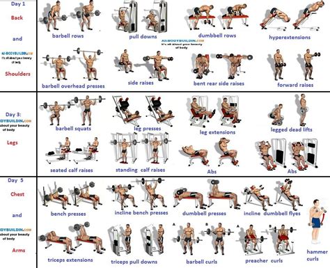 Home workout plan for muscle gain. 3-Day Muscle Building Workouts For Busy People ...