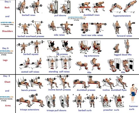 In addition, protein, sugar and fat are needed.weight and balanced can reach 10 pounds in a month the app is distributed in a. 3-Day Muscle Building Workouts For Busy People ...