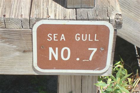 Cayo costa state park is a state park in the u.s. Cabin "Seagull #7" Cayo Costa State Park,Florida | Seagull ...