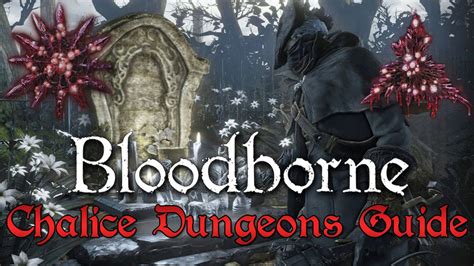 Naturally there are alot of questions about where you can find the best blood gems. Chalice Dungeons Gems Farming Guide - Bloodborne - YouTube