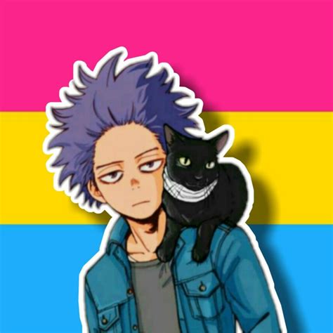 This isn't to say pansexual people are attracted to everyone, but gender just isn't the defining factor in who they are and aren't attracted to. Shinsou Pan Pride Profile Picture in 2020 | Aesthetic ...