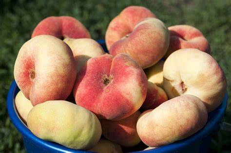 Продажа - Персики плоские Картинка - Продажа - Персики плоские