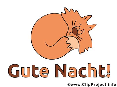 Weitere ideen zu katzen, süße katzen, tiere. Schlafende Katze Bild - Gute Nacht Bilder