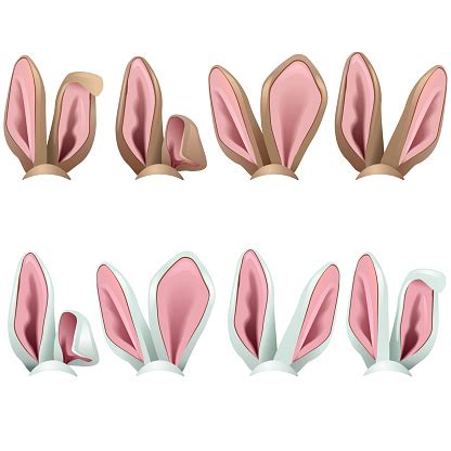 3d models for games, architecture, videos. Vector Rabbit Ears Icons Stock Illustration - Download ...