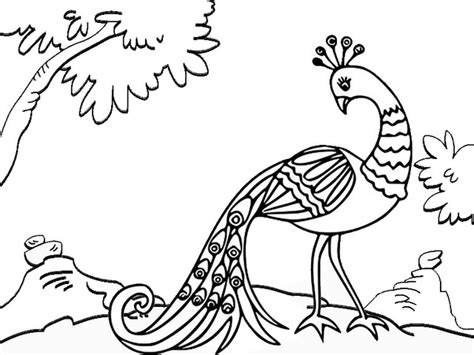 The peacock is one of the most beautiful birds in the world that has beautiful feathers. Beautiful Peacock Coloring Page for Kids - Mitraland