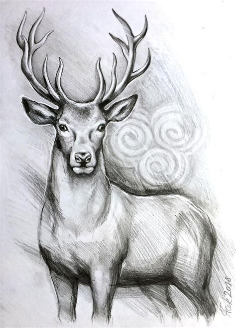 They have a wide variety of humorous animal art, including walrus, frogs. ORIGINAL deer art, stag pencil drawing, graphite ,home decor, illustration, animal art, gift ...