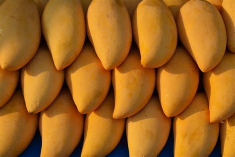 Isinya yang berwarna oren sangat enak dinikmati ketika waktu sejuk. 10 Kebaikan Buah Mangga | EZDIET