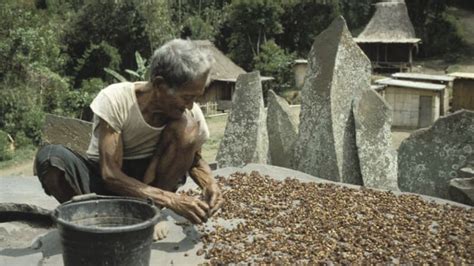 Budidaya kopi di indonesia tersebar luas dan dapat ditemui hampir di semua pulau di. Beraneka Ragam Jenis Kopi dari Berbagai Sudut Pandang ...