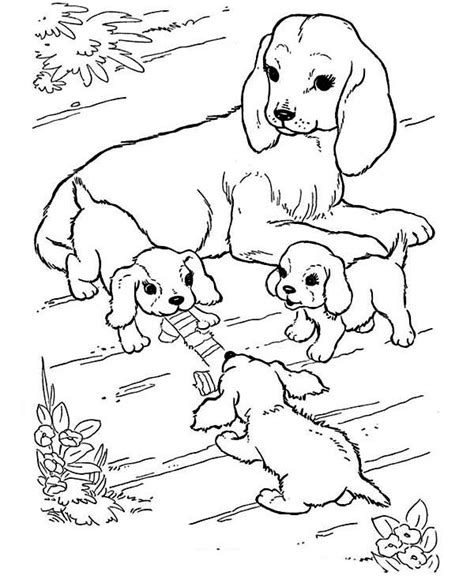 Kids learn drawing with these types of animal colouring pages. Puppies Are Playing With Their Mother In Farm Animal ...