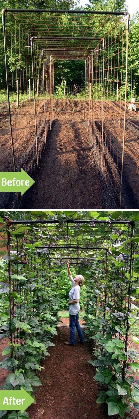 This creative trellis idea features several trellises compiled into one concept. 40 DIY Bean Trellis for in 2020 | Vegetable garden diy ...