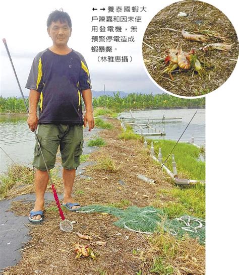 大湖 路竹 岡山 橋頭 楠梓 新左營 左營(舊城) 內惟 美術館 鼓山 三塊厝 高雄 民族 科工館 正義 鳳山 後庄 九曲堂. 815大停電 高雄工業產值 損失近5000萬 - 中時電子報