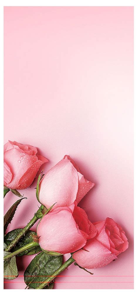 We would like to show you a description here but the site won't allow us. Love Rose Mobile Wallpapers - Wallpaper Cave