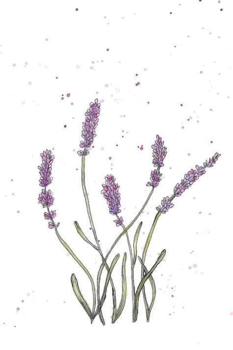 Maybe you would like to learn more about one of these? Easy Modern Watercolor & Ink Lavender | Flower drawing ...