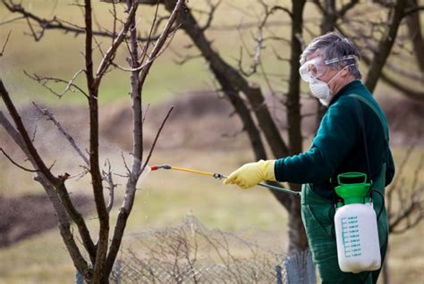 We can customize our residential and commercial property programs to meet your budgetary and scheduling needs. Integrated Pest Management Archives | Turfco Lawn Care ...