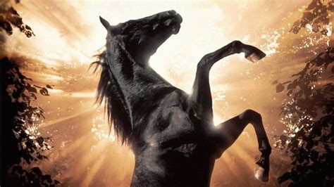 Black Beauty (1994) - Titlovi.com