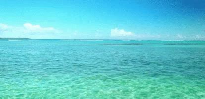 A background image with an aspect ratio of 16:9 and minimum resolution of 1280 by 720 pixels. Beach Shore GIF - Beach Shore Water - Discover & Share GIFs