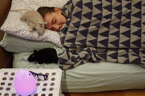 They also may be more inclined to get sick when viruses and. Yes, you should get some sleep - Massachusetts Daily Collegian