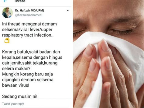 Jangan jangan anda terkena santet perut kembung. "SELESEMA BAWAAN VIRUS", Apa Bahaya Dan Tanda-Tanda ...