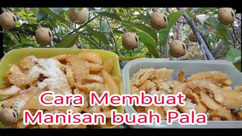 Khasiat buah pala banyak yang tidak diketahui oleh orang. cara membuat manisan buah pala - YouTube