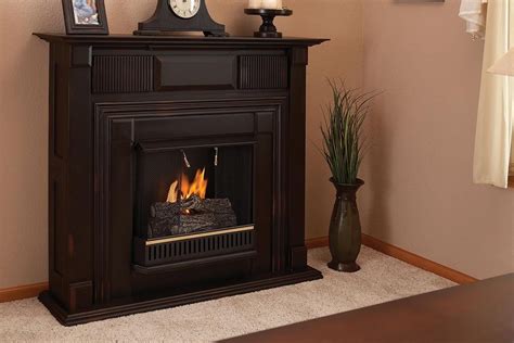 Unlike a wood stove, propane stoves generally deliver reliable heat as long as your propane gas doesn't run out. Ventless Gas Fireplaces: What You Need to Know | Propane fireplace, Ventless fireplace, Ventless ...