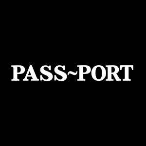 pass port skateboard