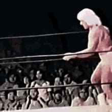 How to add photo or gif from web: Ric Flair GIFs | Tenor