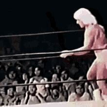 This was a high flying, hard hitting affair that had ringside antics from luther and hilarious commentary. Ric Flair GIFs | Tenor