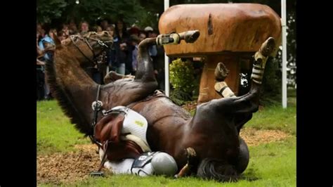 We did not find results for: 20 of the Craziest Horse Falls of All Time