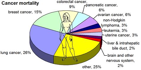 How many cancer cases every year can be attributed to consumption of processed meat and red meat? File:Most common cancers - female, by mortality.png - New ...