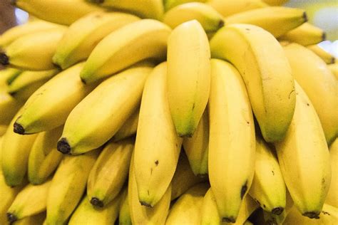 Plantage im Reagenzglas: Weltgrößte Gendatenbank für Bananen