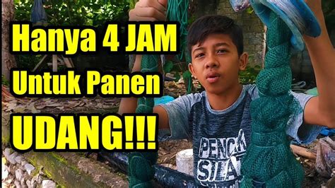 Speedy promo di medan 2015 untuk jaringan msan/dslam. Pasang Bubu Di Rumah Udang. Berkeliaran!!!! - YouTube