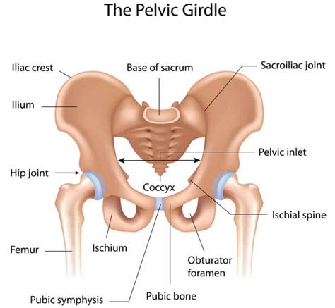 But this was not the case, with the cyclist on the left suffering debilitating pain, very quickly into a ride. Naas Physio Clinic | Pelvic Pain Causing Back Pain with ...