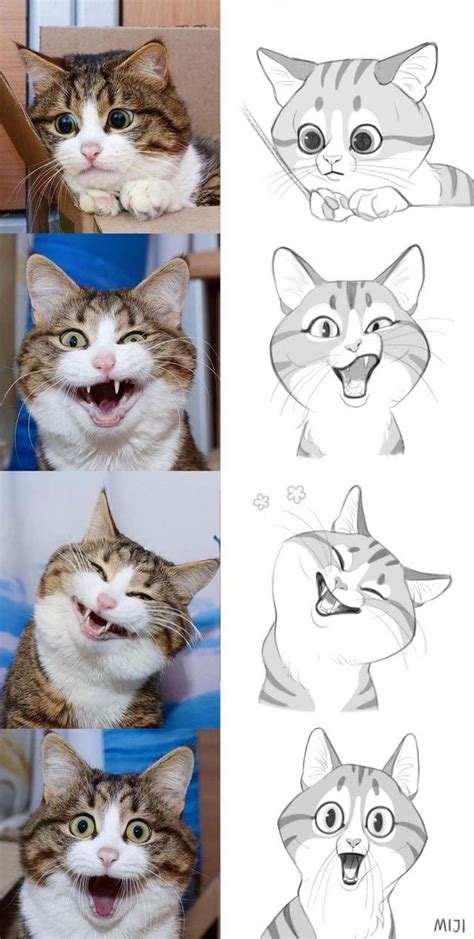 So what is it all about? Kitty Expressions | Cat art, Cute drawings, Animal drawings