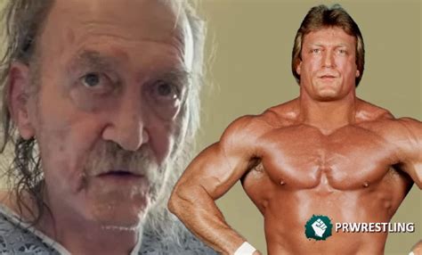 Discover information about paul orndorff and view their match history at the internet wrestling database. Revelan pobre estado de salud de "Mr Wonderful" Paul ...