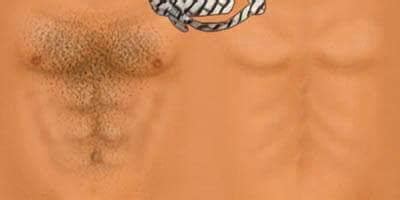 Just simple things are fine, but high res/photorealistic is a bonus! Cesaro - WR3d wwe texture | Facebook