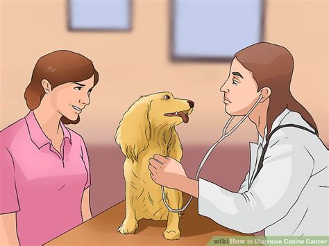 Clinical signs of intestinal cancer are weight loss, loss of appetite, vomiting, diarrhea and blood in vomit or feces. the usual clinical signs of intestinal cancer are weight loss, loss of appetite, vomiting, diarrhea and blood in vomit or feces. How to Diagnose Canine Cancer: 11 Steps (with Pictures ...