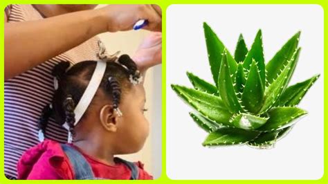 Wash your hair with mild shampoo and conditioner, then repeat this after every two weeks only. How to laid edges with aloe Vera/ Hair growth/komanw fe ...