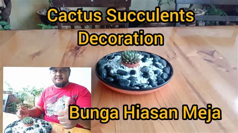 We did not find results for: Dekorasi Bunga Kaktus Hiasan Meja #CactusSucculents#cactus ...