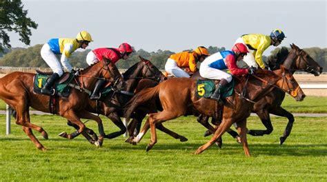 You can find a selection of betting events covering both flat races and jump races, as well as trotting and greyhound races. Horse Racing - The Best Pub Quiz Questions The Best Pub ...