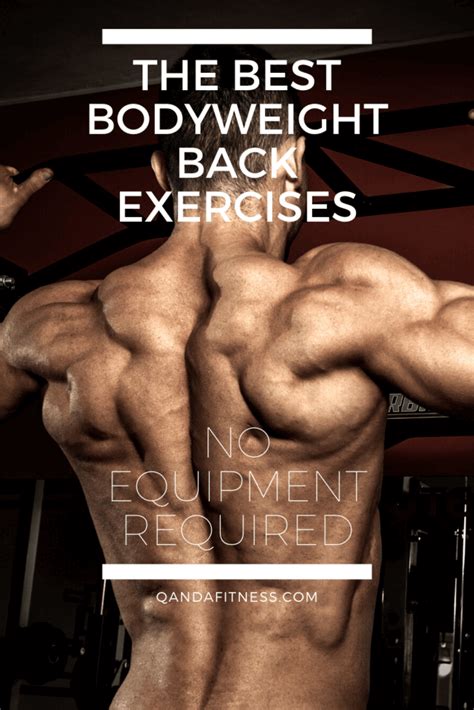 5 Bodyweight Back Exercises - No Equipment Required | QandA Fitness