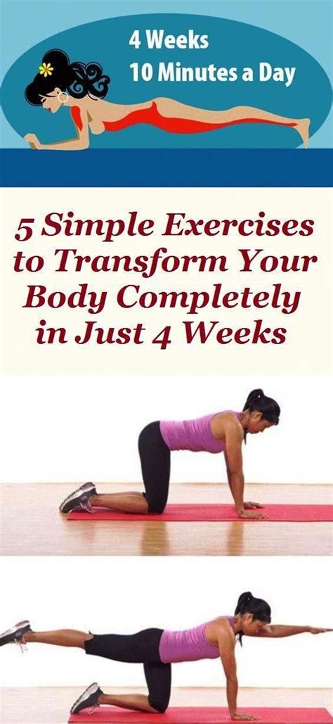 It takes a lot of effort, willpower, resilience and a lot of motivation. Transform Your Body in Just 4 Weeks With These Four Simple ...