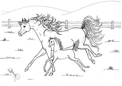 Animal coloring pages for kids. Horse Mother Running with Her Baby in Horses Coloring Page ...