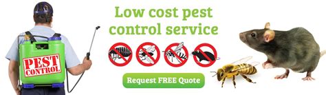 We are affiliated with the best pest control service providers, who are trustworthy and reliable in order to cater to the best. Commercial Pest Control Houston - Houston Pest Control Bug ...